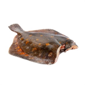 Камбала 1,0 с/м потр б/г, IQF, 1/10 (ЛД) 03047